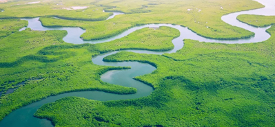 농업 관개 혁명: PVC 파이프 및 부속품의 역할